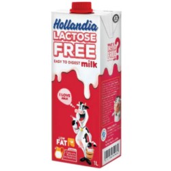 Hollandia Lactose Free Milk 1 L