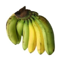 Banana (Allow 1 Day To Ripen)