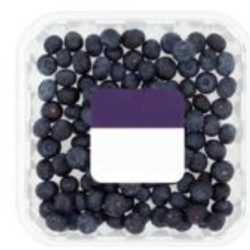 Blueberry Pack