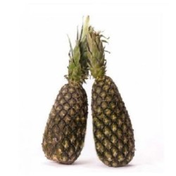 Pineapple - Cotonou x12